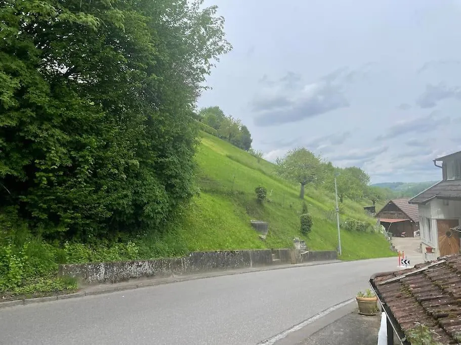 Eco-Friendly Guest House Near Zh Rorbas Switzerland